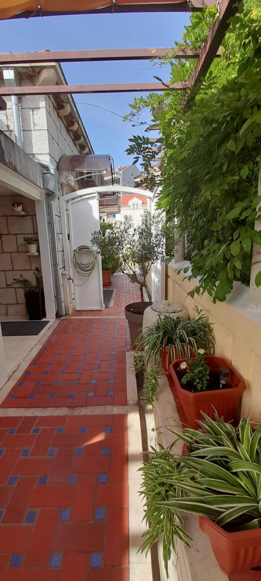 Ivana Central Apartment ドゥブロブニク エクステリア 写真